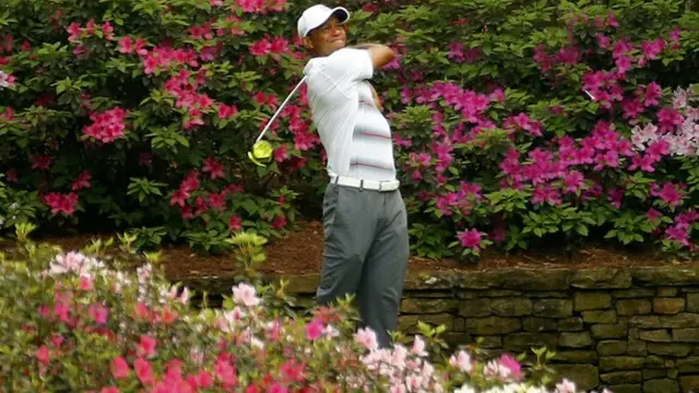 Tiger Woods