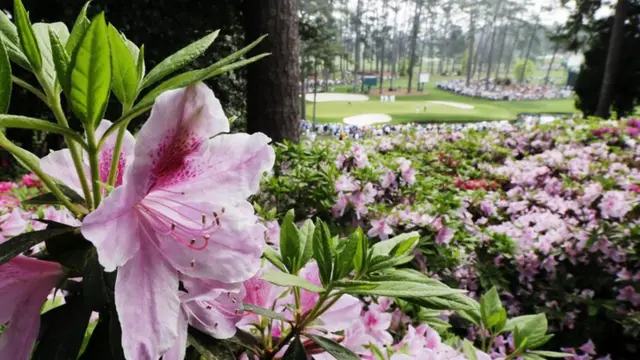 Augusta national course