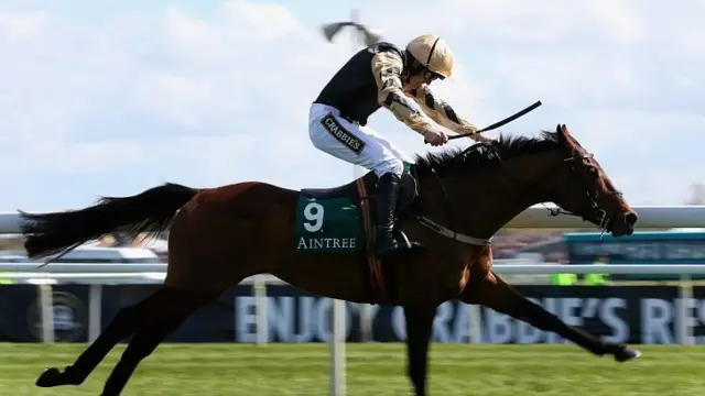 Nichols Canyon ridden by Ruby Walsh