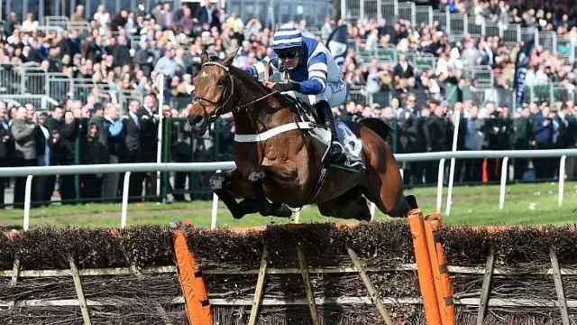 Whisper ridden by Nico de Boinville clears the final fence