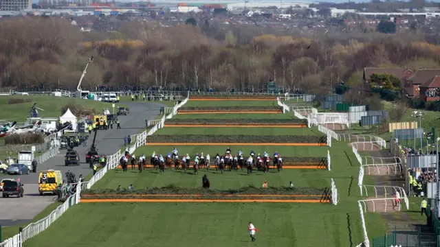 Grand National runners and riders