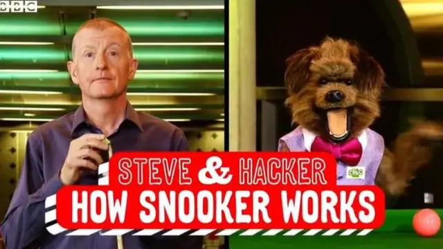 Steve Davis