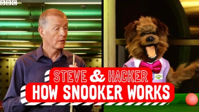 Steve Davis and Hacker T Dog