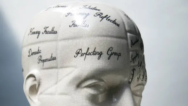 Phrenology head