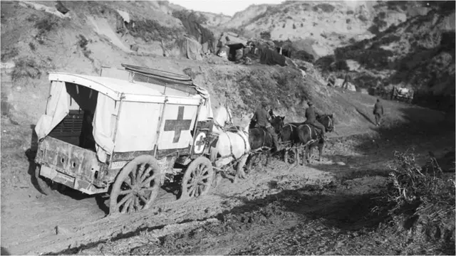 Horses pull an ambulance wagon in Gully Ravine, November 1915