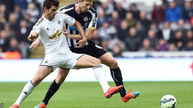 Newcastle"s Mike Williamson and Swansea"s Nelson Oliveira
