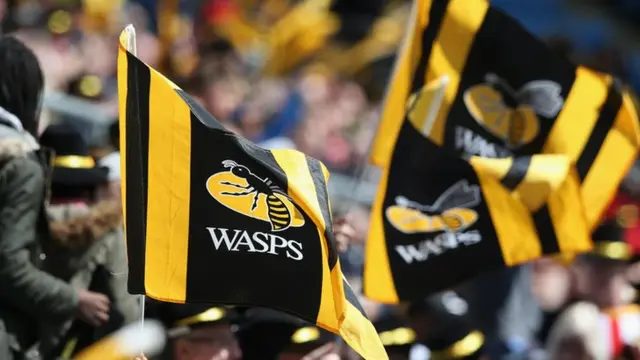 Wasps flags