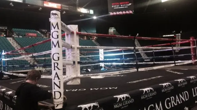 The ring at the MGM Grand