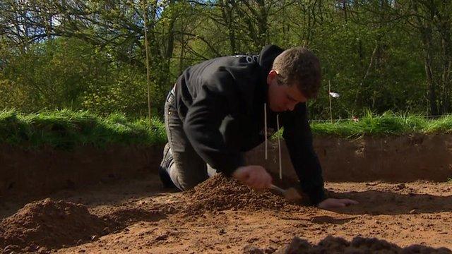 Archaeologist working