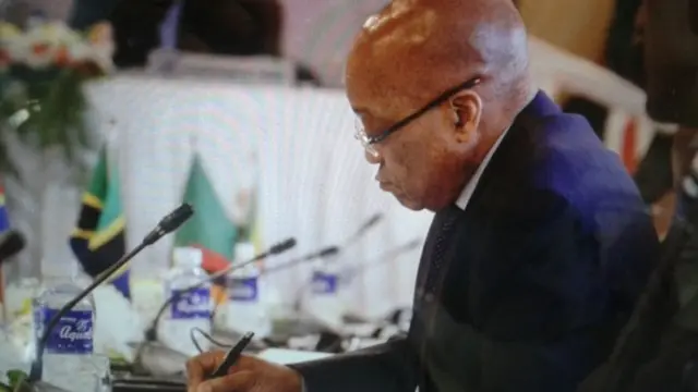 Jacob Zuma in Harare on 29 April 2015