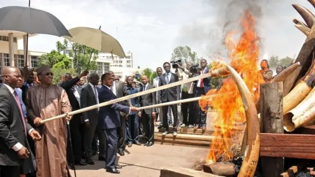 Congo's President Denis Sassou-Nguesso (C) and Chad's President Idriss Deby (2nd L) light afire a five-ton stockpile of ivory tusks coming from poaching a illegal trafficking, on April 29, 2015 in Brazzaville