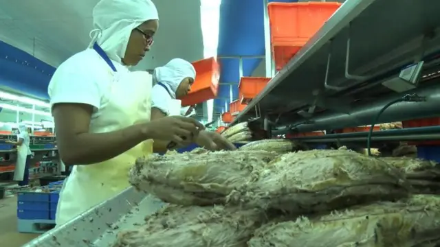 Canning factory in Seychelles