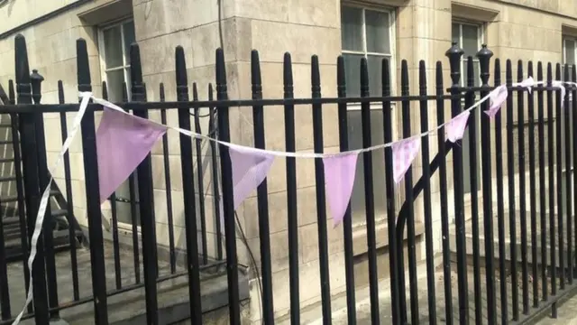 Pink bunting