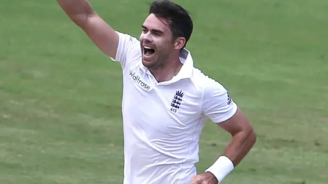 James Anderson celebrates