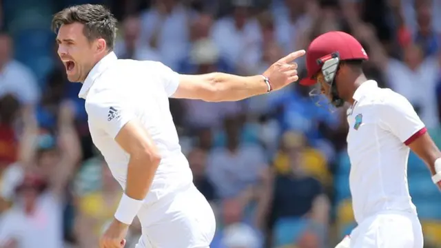 James Anderson celebrates