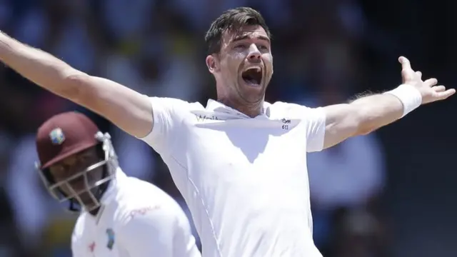 James Anderson celebrates