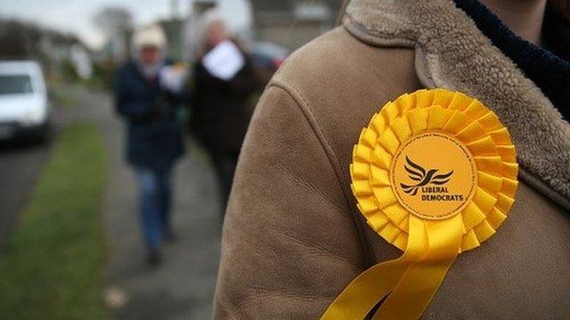 Liberal Democrat rosette