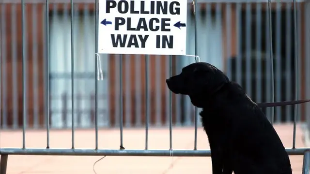 Dog waits outside polling station