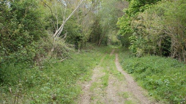 Lytchett Minster fields