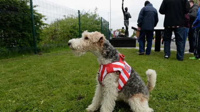 Stoke v Liverpool