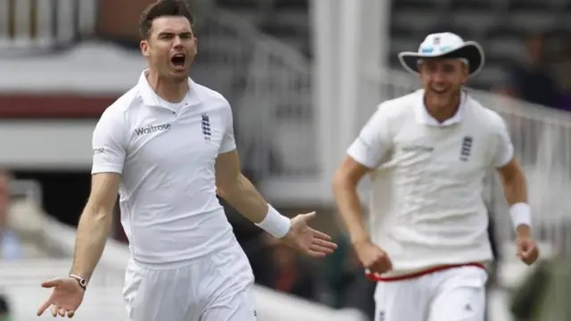 James Anderson celebrates