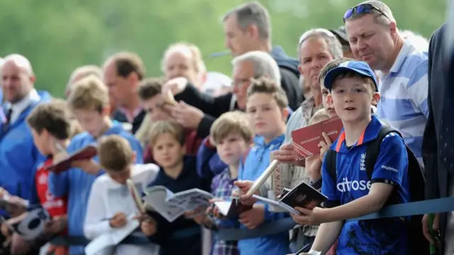 Cricket fans