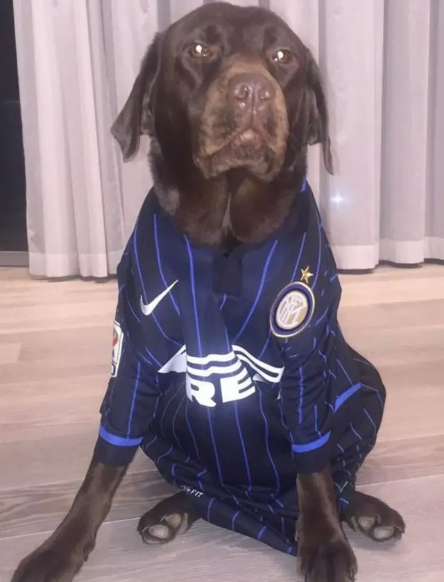 Lukas Podolski's dog