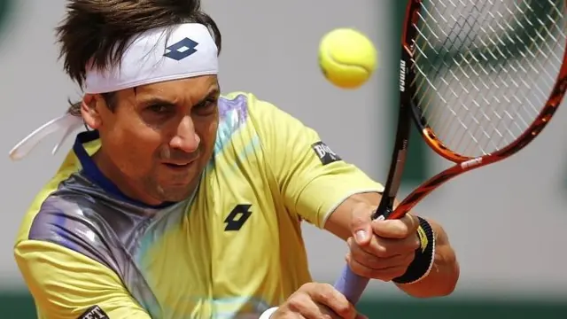 David Ferrer