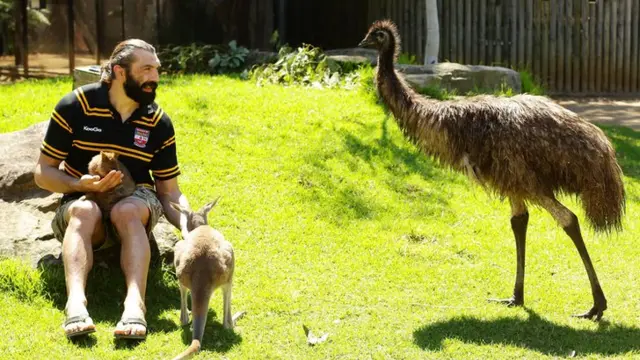 Chabal with animals