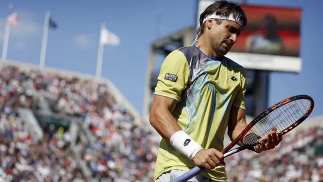 David Ferrer