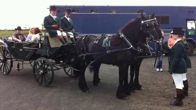 Horses and carriage