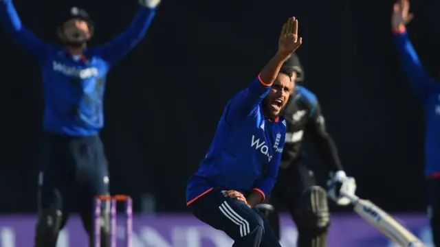 Adil Rashid celebrates