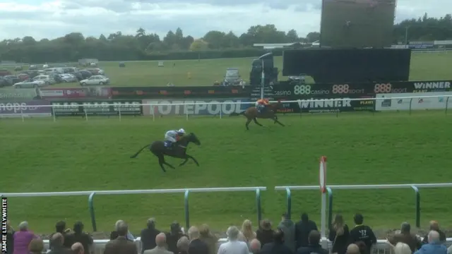 Gallic Destiny wins at Fontwell