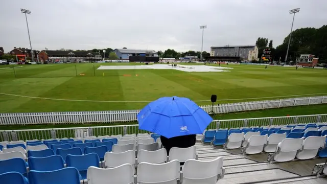 Rainy cricket