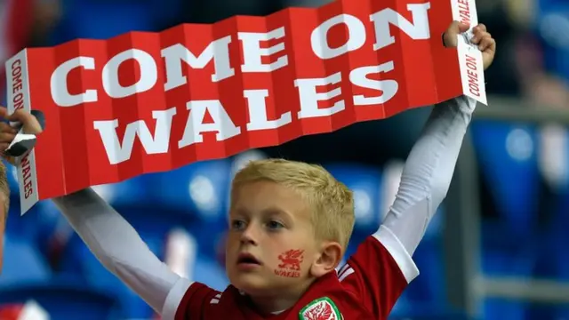 Wales fan