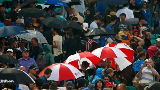 Fans in the rain