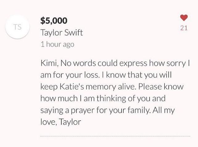 GoFundMe screengrab