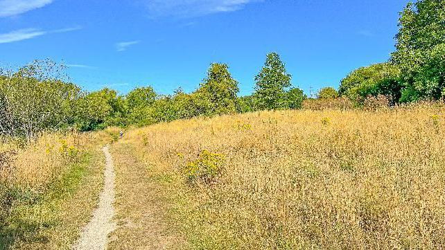 East Barming in the Maidstone district of Kent. The picture shows a path through green fields. 