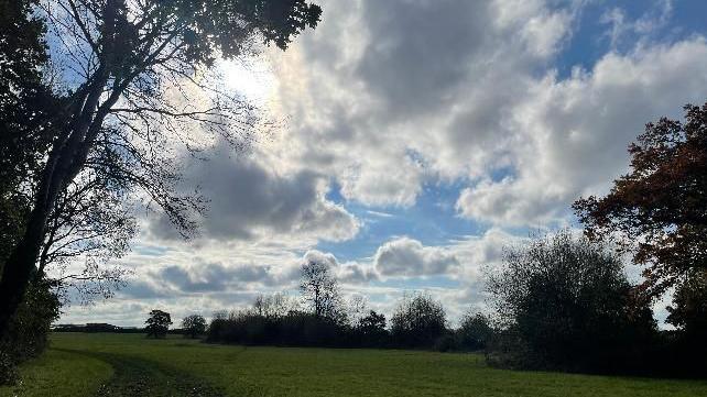 Large fluffy white clouds with tinges of grey on a blue sky above grassland. There is a hedgerow on the horizon with trees to the right and left and a path winding off into the distance on the left, across the grass. The lighting is quite dark.