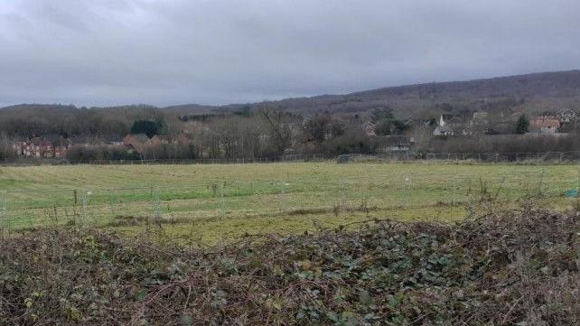 Ground level view over a hedge into a grassy field on the edge of houses