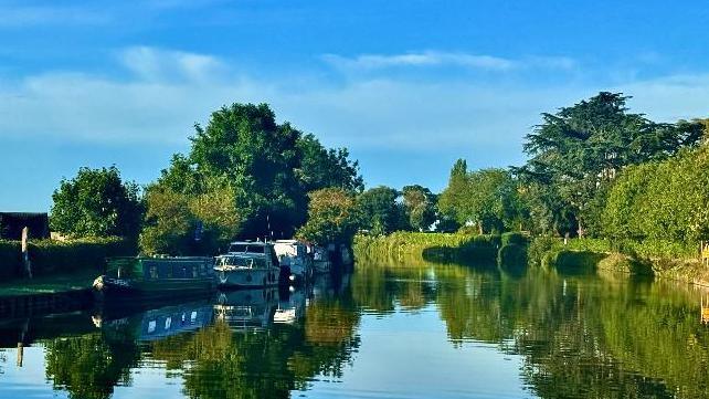 A canal with boats on it mirrors the bright blue sky with wispy clouds. There is a lot of greenery - hedgerows and trees - surrounding the canal.