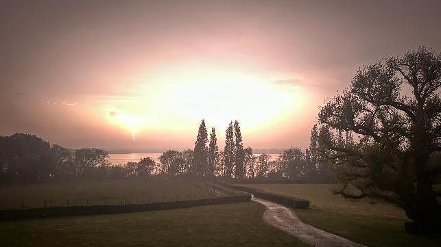 A glowing sky over woodland