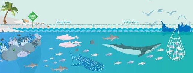 A WCS Infographic showing how the reef will be protected