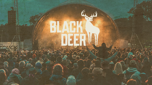 Black Deer Festival crowd at Eridge Park facing stage and reacting to band