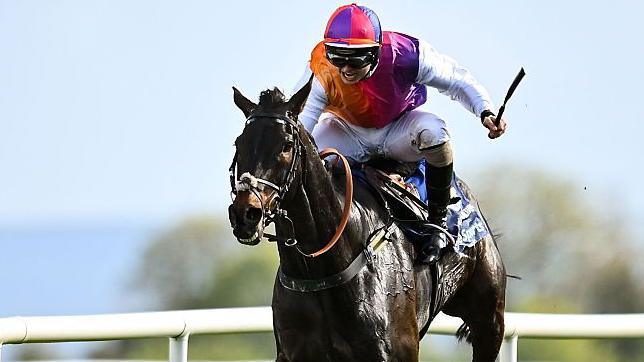Haiti Couleurs ridden by Sean Bowen won the 2025 Irish Grand National at Fairyhouse Racecourse. 