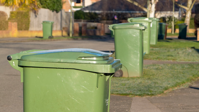 A row of green wheelie-bins placed on the side of a residential road