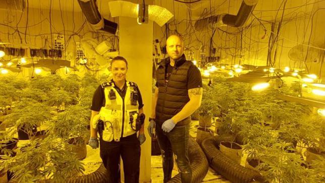 Officers at the suspected cannabis farm