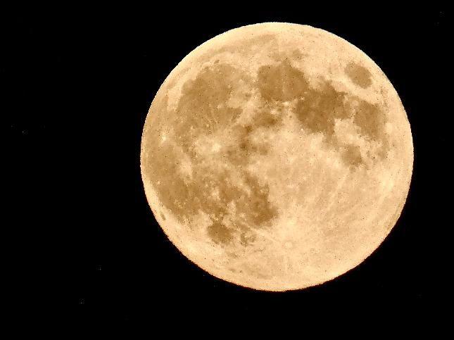 A closeup of the supermoon, pictured with a yellowish tint.