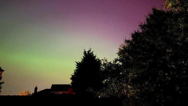 The Northern Lights with a green and purple tinge, and silhouetted trees and buildings. 