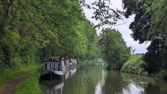 Wednesday - Ducks swim next to a narrowboat on the river in Cropredy